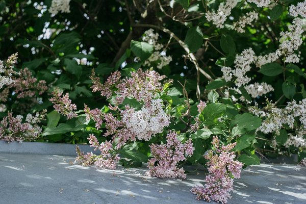 Comment bien choisir les portes de vos meubles de cuisine ?