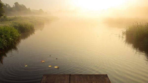 Top astuces pour gérer l'humidité dans l'Eure