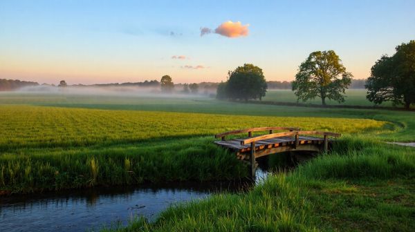 Top astuces pour gérer l'humidité dans l'Eure